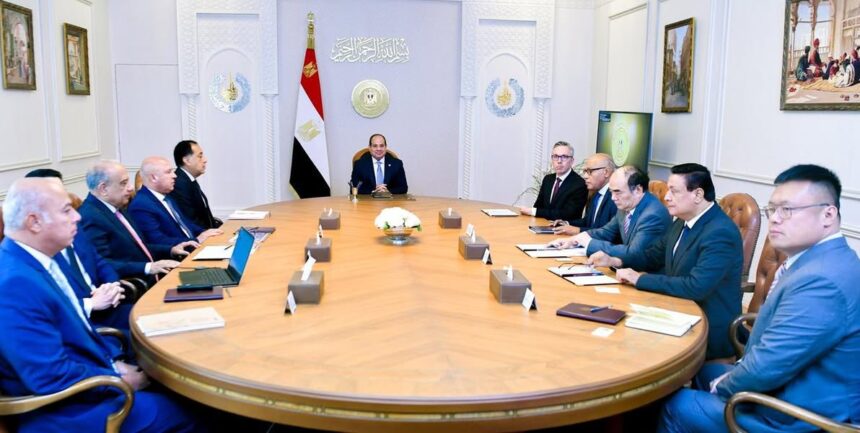 Al-Sisi discusses renewable energy investments with Norway’s Scatec, China’s Sungrow