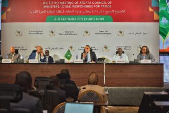African trade ministers meet in Cairo to push forward with AfCFTA