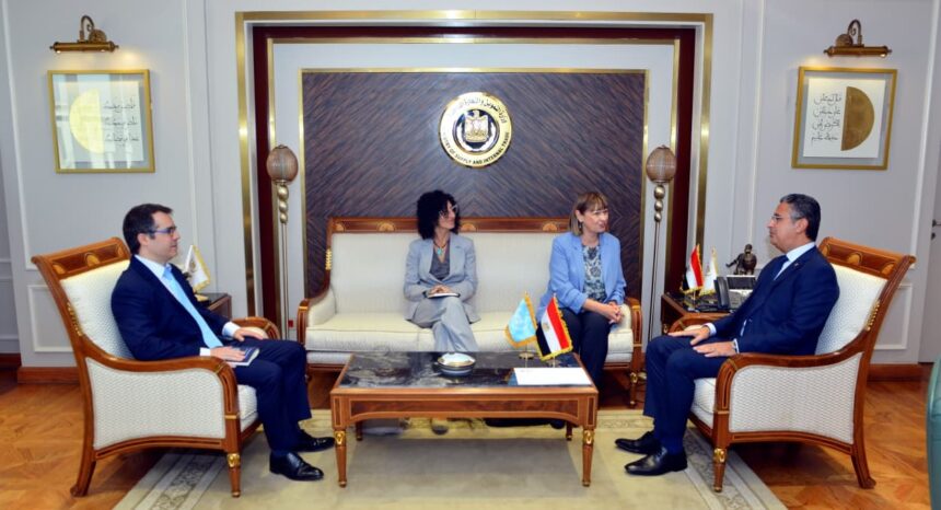 Egypt, UN discuss strengthening cooperation on food security, digital transformation