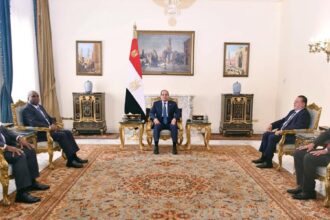 Al-Sisi meets Afreximbank leadership, discusses boosting Africa trade, development cooperation
