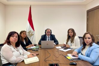 Deputy FM holds virtual meeting with Egyptian expatriates in South Africa, Botswana, Lesotho