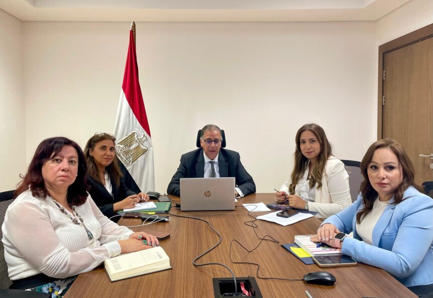 Deputy FM holds virtual meeting with Egyptian expatriates in South Africa, Botswana, Lesotho