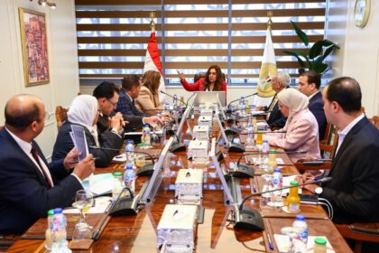 Local Development Minister moves to expand access to non-banking financial services outside Cairo