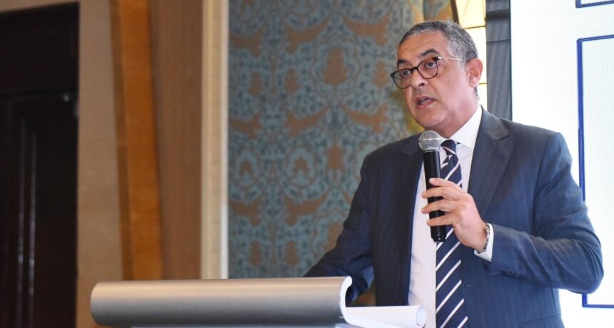 Hossam Heiba, CEO of the General Authority for Investment and Free Zones (GAFI)