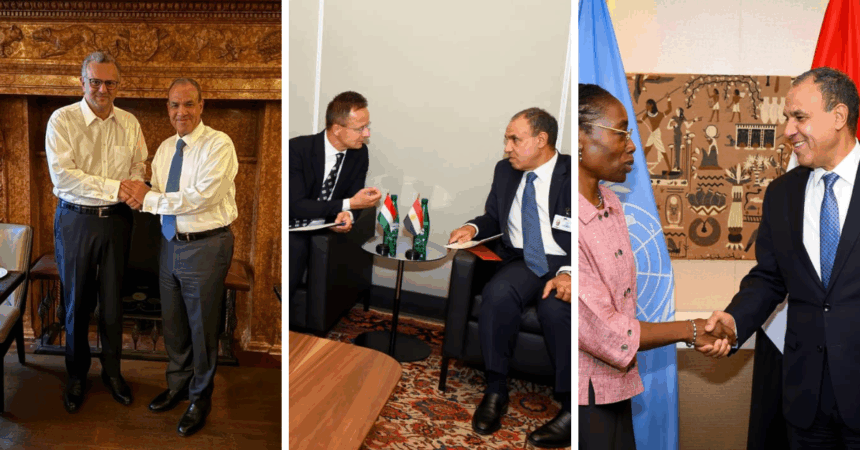 At UN, Egypt's FM pushes for Gaza ceasefire, global finance reform