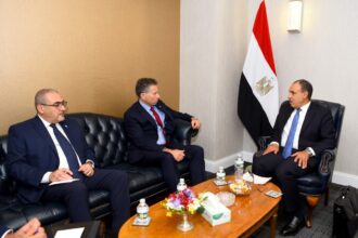Egypt FM meets UN humanitarian chief, discusses Gaza aid obstacles
