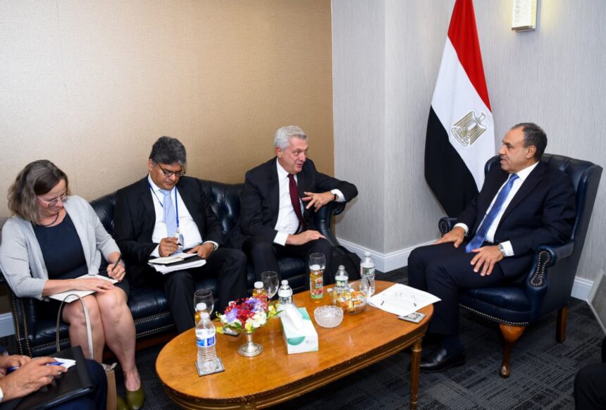 Egypt's Foreign Minister urges UNHCR for more refugee support