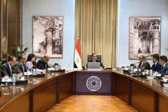 Madbouly meets with SunRev Solar to localize renewable energy component manufacturing
