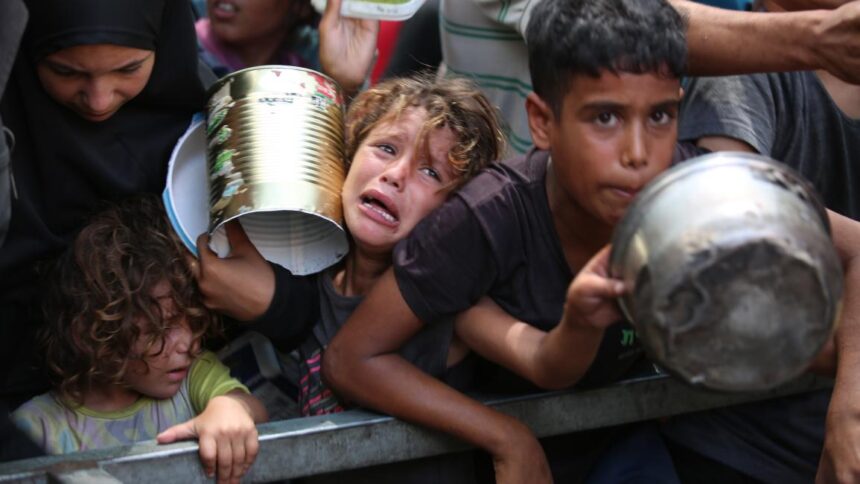 Rising international outrage as Israeli strikes escalate in Gaza
