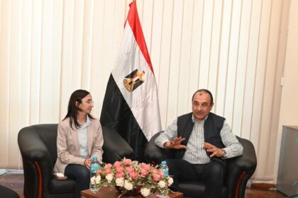 Comprehensive development plan for Misr Spinning, Weaving & Beida Dyers: El-Shimy