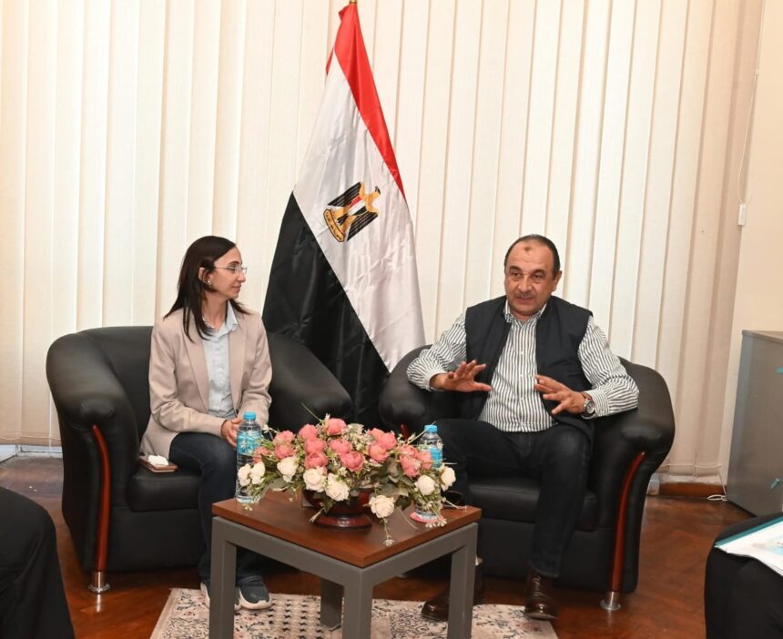 Comprehensive development plan for Misr Spinning, Weaving & Beida Dyers: El-Shimy