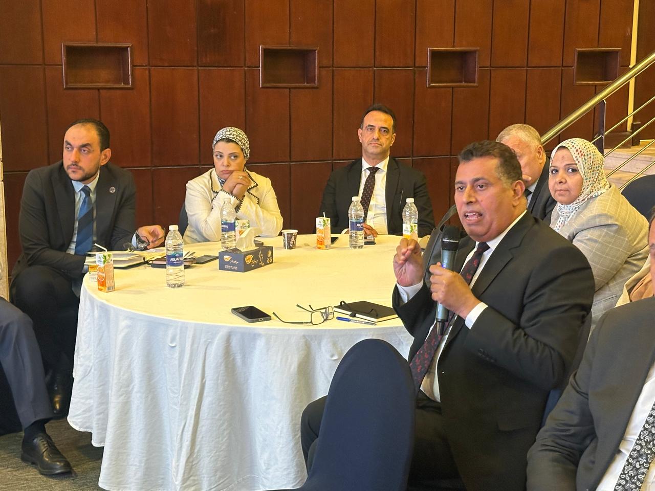 ETA to launch second tax facilitation package for public consultation: Abdel Aal