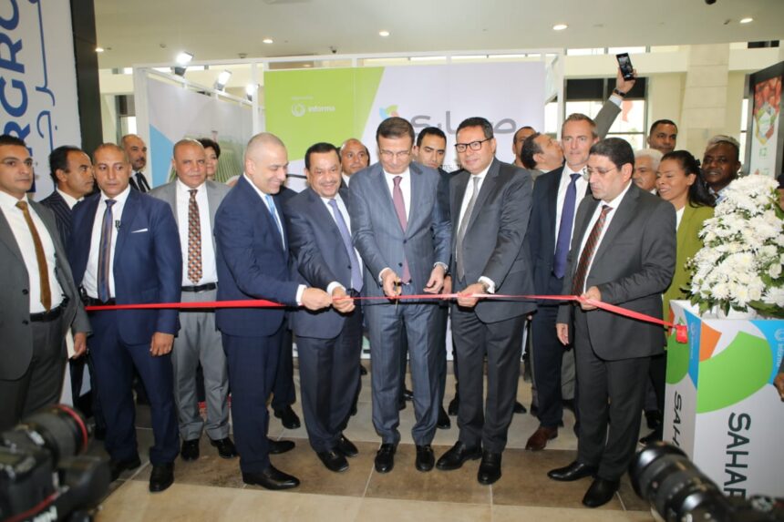 Sahara 2025 ,Egypt,agricultural exports