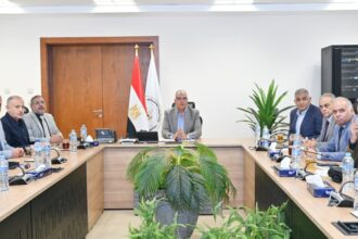 Egypt successfully manages summer water season, ensures adequate Nile flow, High Dam operations