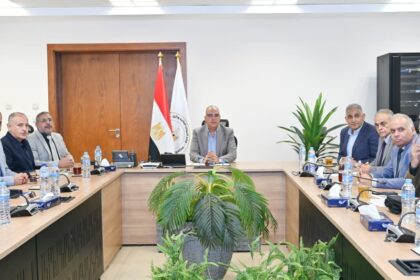 Egypt successfully manages summer water season, ensures adequate Nile flow, High Dam operations