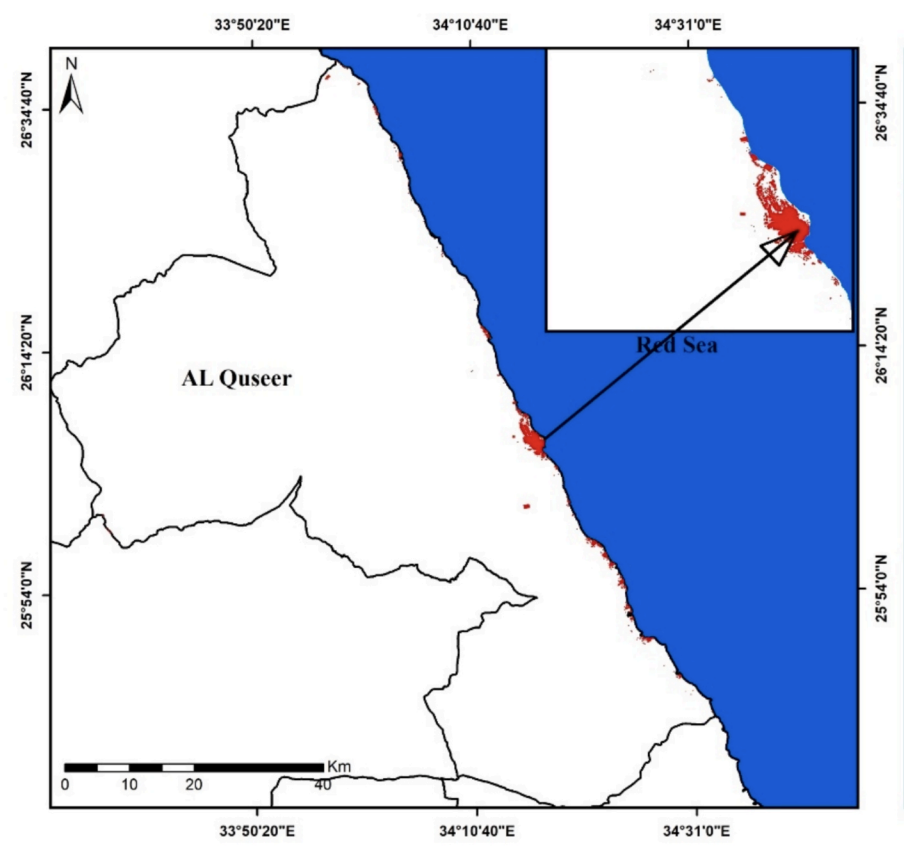 Egyptian study maps dengue-carrying mosquito in El-Quseir, urges focused action in urban hotspots
