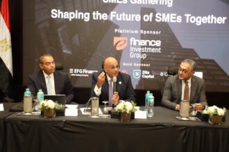 Egypt's MSMEDA provided EGP 57.9bn in financing over 11 years