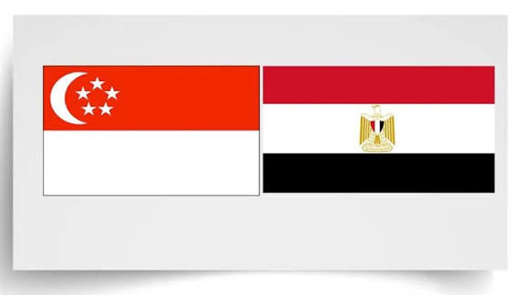 Egypt-Singapore trade exchange hits $137m in H1 2025: CAPMAS