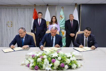 Egypt to establish first integrated natural silk production centre in New Valley