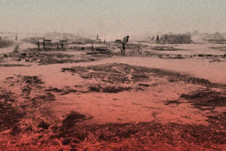 UN sounds alarm over atrocities in El-Fasher as RSF militia seizes control of Sudanese city