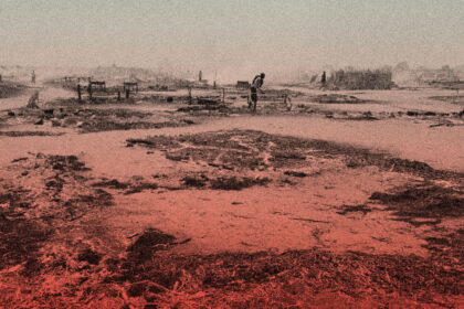 UN sounds alarm over atrocities in El-Fasher as RSF militia seizes control of Sudanese city