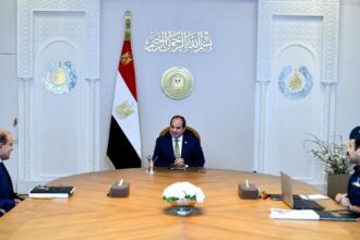 Al-Sisi urges stronger private sector role in ‘Future of Egypt’ projects