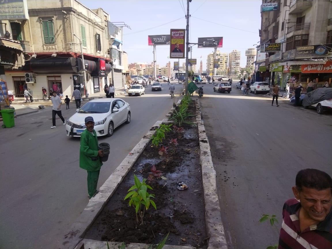 Egypt plants over 18,000 trees in Cairo, Delta in '100 Million Trees' initiative