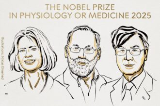 Nobel Prize in Medicine honours breakthrough on immune system’s ‘brakes’