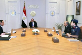 Al-Sisi orders expedited completion of energy projects to boost food security