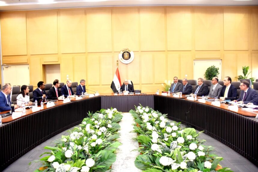 Egypt, World Bank review progress on transport, industry projects