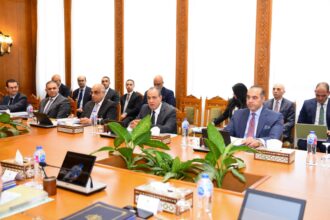 Egypt's human rights committee reviews national strategy, UNHRC membership bid