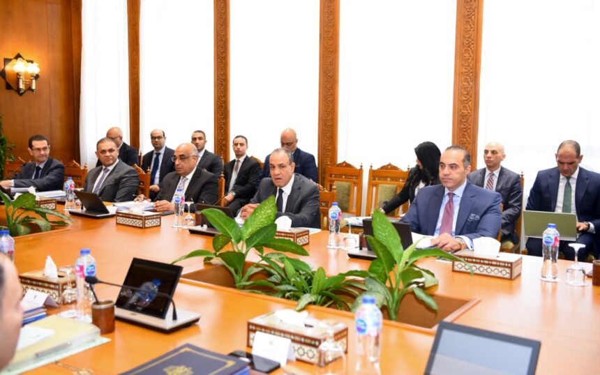 Egypt's human rights committee reviews national strategy, UNHRC membership bid