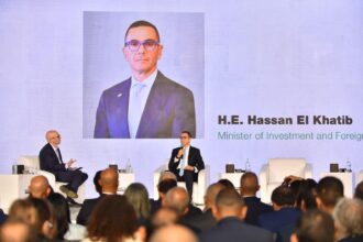 Egypt targets 20–30% growth in FDI to reach $12bn in 2025: Minister