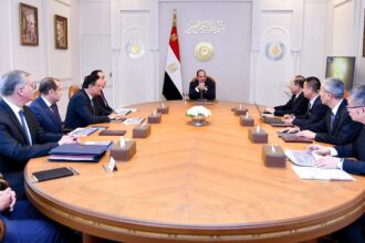 Egypt's Al-Sisi discusses soda ash project with China's CNCEC chairperson