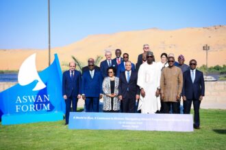 African leaders gather in Aswan to navigate global shifts and continental progress