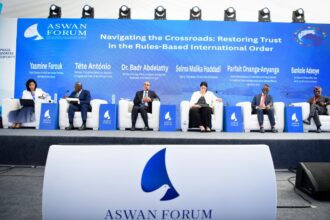 At Aswan Forum, Egypt's FM urges reform of UN Security Council, finance bodies
