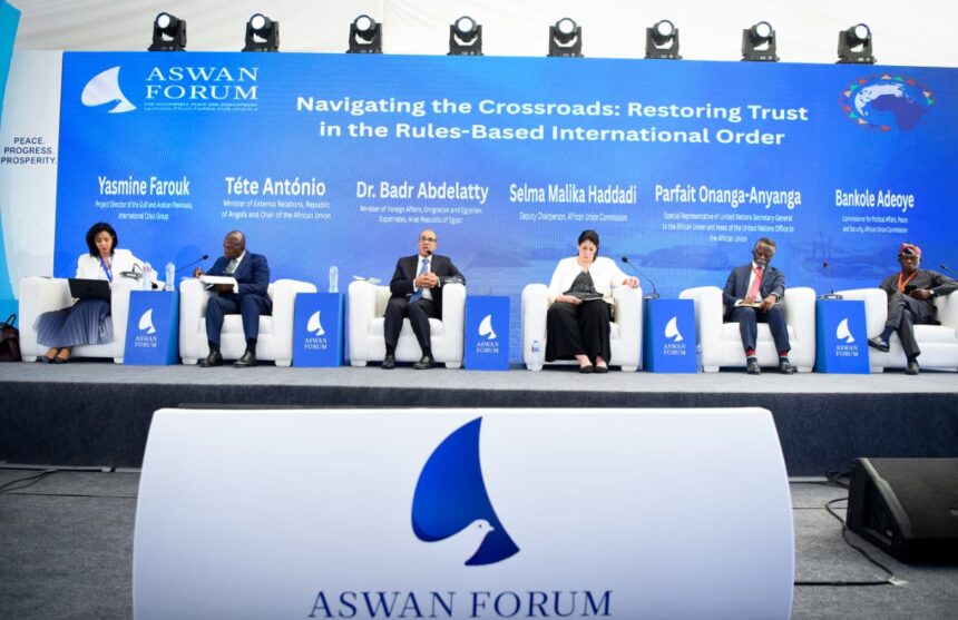 At Aswan Forum, Egypt's FM urges reform of UN Security Council, finance bodies