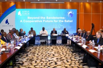 Egypt's FM joins Sahel region roundtable at Aswan Forum