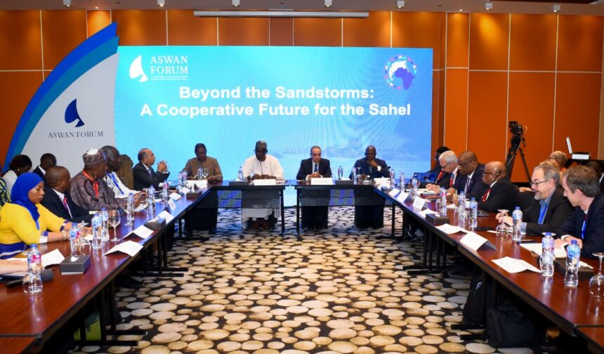 Egypt's FM joins Sahel region roundtable at Aswan Forum