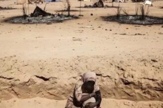 Egypt urges ceasefire in Sudan as EU denounces RSF brutality after El-Fasher’s capture