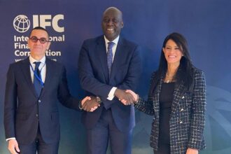 Egypt, IFC discuss expanding private sector financing, advancing State Ownership Policy Document