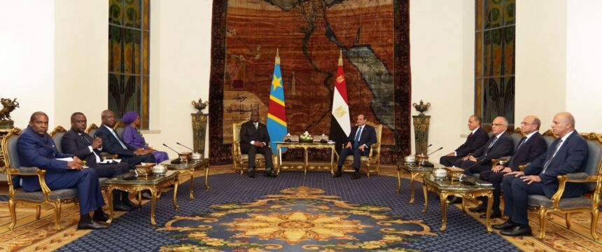 Egypt's Al-Sisi, DR Congo's Tshisekedi discuss peace efforts, Nile cooperation