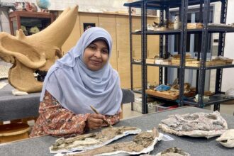 Lead author Sara Saber, Assistant Lecturer at Assiut University with the holotype specimen of Wadisuchus kassabi (MUVP 180)