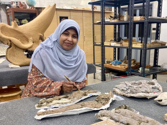 Lead author Sara Saber, Assistant Lecturer at Assiut University with the holotype specimen of Wadisuchus kassabi (MUVP 180)