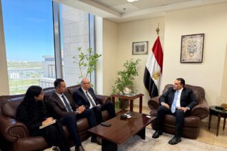 Saint-Gobain Egypt targets doubling exports to Africa to €120m annually