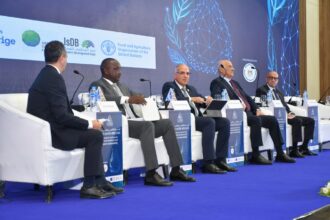 Egypt calls for fair climate finance, placing water at heart of global investment