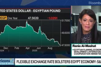 Egypt's Al-Mashat expects 2026 to be 'turning point' for economy after Gaza deal