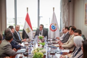 Egypt explores cooperation with Chinese firms to advance robotic surgery