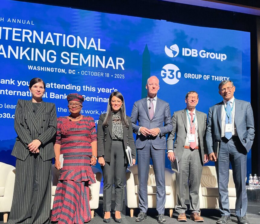 Egypt’s Al-Mashat calls for greater Global South voice in finance