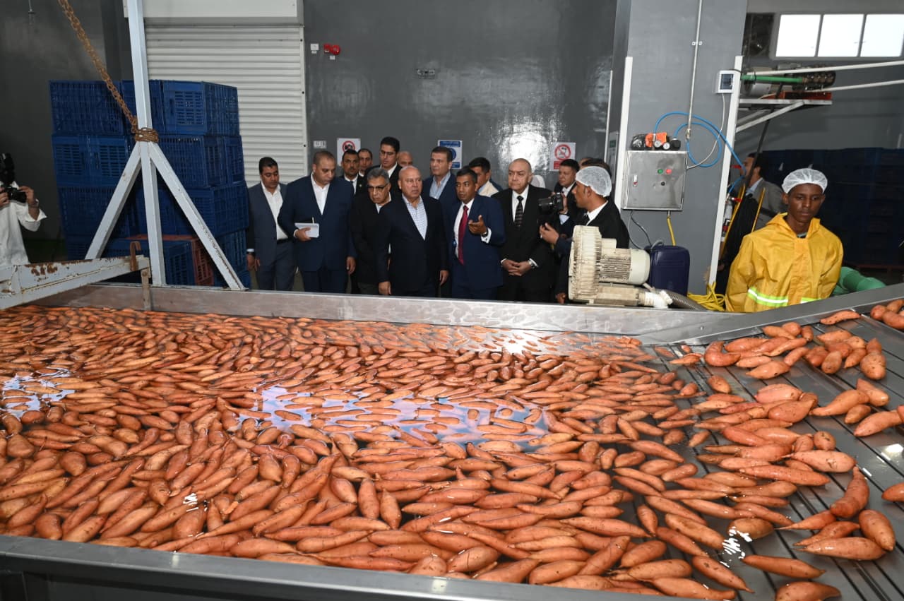 Egypt to establish logistics zone at Damietta Port to accelerate cargo handling